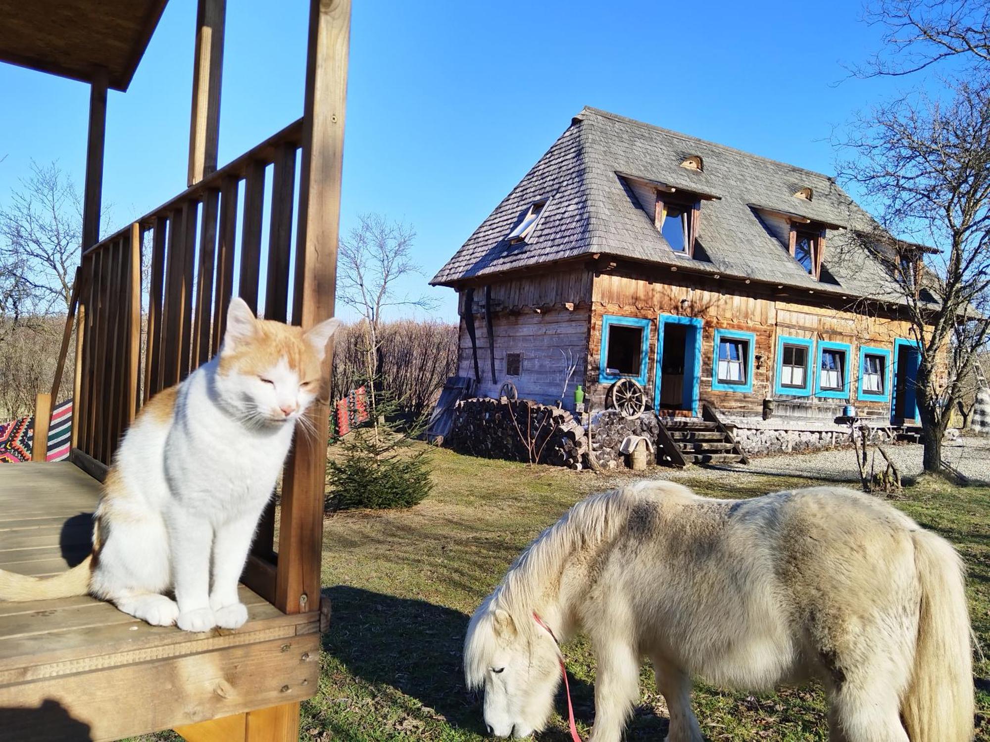 Big Family Apartment In Breb'S Cosy Barn 外观 照片